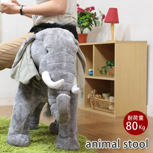 yLbsOzyz@]E@֎q@ ʂ ɂ܂Xc[@@@ʂ݁@v[g@@ԁ@Mtg@LbY@q@@CX@ 