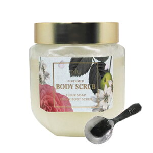 ő2100~OFFN[|zz v pt[h VK[ {fBXNu 500g t[\[v Xv[t {fBPA XNu {fB[XNu ؍RX plu