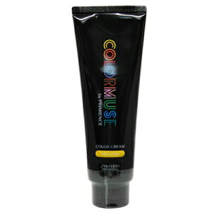 ő2100~OFFN[|zz  J[~[Y oC v~GX J[ N[ 240g CG[ J[ Tꔄ eꔄ SHISEIDO