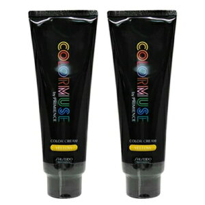 ő2100~OFFN[|zz  2{Zbg  J[~[Y oC v~GX J[ N[ 240g CG[ J[ Tꔄ eꔄ SHISEIDO