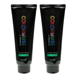 ő2100~OFFN[|zz  2{Zbg  J[~[Y oC v~GX J[ N[ 240g O[ J[ Tꔄ eꔄ SHISEIDO