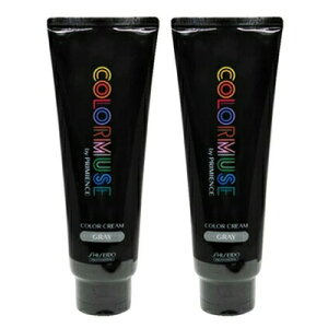 ő2100~OFFN[|zz  2{Zbg  J[~[Y oC v~GX J[ N[ 240g O[ J[ Tꔄ eꔄ SHISEIDO