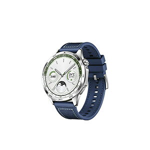 Garmin Forerunner 570 47mm ���� �o���h �V���R��&�i�C�����f�� ������� �r���v�x���g �X�|�[�c �x���g �ւ��x���g �Y��� �}���`�J���[ �ȒP���� �l�C �������� �K�[�~�� ��22mm �x���g �E�F�A���u