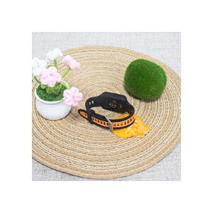 Amazfit Helio Strap �Ή� �V���R���o���h �\�y��̌^ �����x���g �r�o���h �X�|�[�c�o���h �h�� �ϊ� �_�� �y�� ���K���� ���߉\ �ւ��x���g �t�B�b�g�l�X �����j���O �g���[�j���O �A�E�g�h�A 