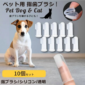 ybg wuV   uV 5 10Zbg   L ˂ wTbN oPA \tguV _炩 ^ ^ a \h 􂢂₷ N[jO Lp ybgp
