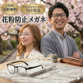 【 今だけ！最大3000円OFFクーポン 】 花粉 メガネ 花粉防止メガネ 花粉 対策 グッズ おしゃれ 花粉メガネ 花粉対策 花粉 ゴーグル 黄砂 メガネ 【 送料無料 】 大人用 飛沫 防塵 粉塵 チリ 超軽量 保護メガネ 紫外線カット UVカット ブルーライトカット PCメガネ 眼鏡