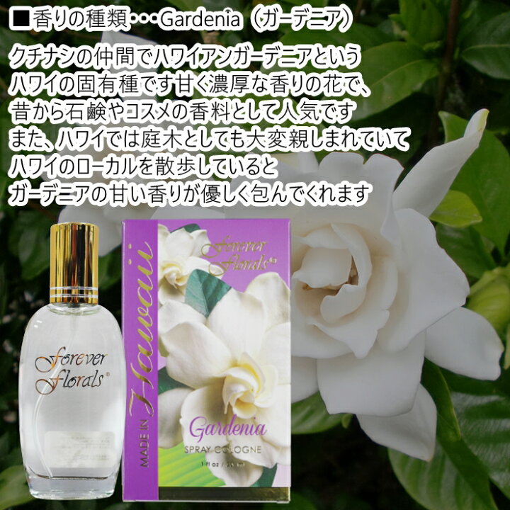 エヴァンゲリオン X Workson A T Field オードパルファム Edp Sp 50ml Evangelion 中古