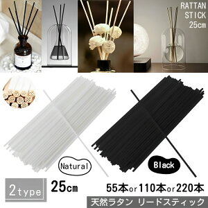 [hfBt[U[ XeBbN   25cm y Iׂ 55{ 110{ 220{ z^XeBbN A} [tOX p ^ tB [hXeBbN }  _ EbhXeBbN fB