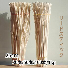 ディフューザー スティック 25cm 【選べる 30本 50本 100本 1kg 】 リードスティック リードディフューザー アロマスティック アロマディフューザー ルームフレグランス シダ ラタン リフィル 枝 木 棒 アロマ スティック ギフト 送料無料