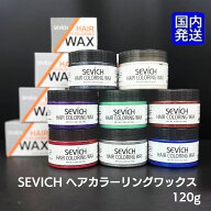 【 今だけ！最大3000円OFFクーポン 】 カラーワックス 120g ヘアカラーワックス ワンデー ワンデイ スタ…