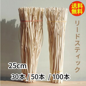 ディフューザー スティック 25cm 【選べる 30本 50本 100本 】 リードスティック リードディフューザー アロマスティック アロマディフューザー ルームフレグランス シダ ラタン リフィル 枝 木