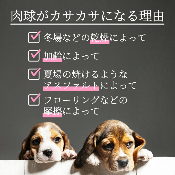 楽天市場 肉球 クリーム Bozzi ペットバーム 30g 2個セット ひび割れ いぬのきもち掲載 追加で1個プレゼント 保護 犬 猫 肉球 犬グッズ 用品 犬 天然成分 軟膏 肉球ケア みつろう クリーム 犬猫クリーム 乾燥 猫用品 いぬ ねこ ナチュラルバーム ペット 滑り止め 楽天市場 肉球 クリーム Bozzi ペットバーム 30g 2個セット ひび割れ いぬのきもち掲載 追加で1個プレゼント 保護 犬 猫 肉球 犬グッズ 用品 犬 天然成分 軟膏 肉球ケア みつろう クリーム 犬猫クリーム 乾燥 猫用品 いぬ ねこ ナチュラルバーム ペット 滑り止め