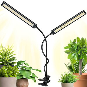 BRIM(u) FLORA A琬Cg LED Gananfڏi yuhz ^C}[ tXyNg 19W (2wbhf)