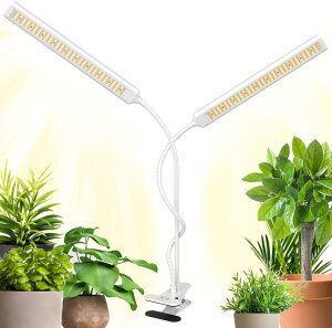 BRIM(u) FLORA A琬Cg LED Gananfڏi yuhz ^C}[ tXyNg 19W (2wbhf)