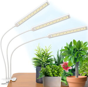 BRIM(u) FLORA A琬Cg LED Gananfڏiyuhz ^C}[ Nbv tXyNg 26W i3wbhj