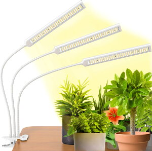 BRIM(u) FLORA A琬Cg LED Gananfڏiyuhz ^C}[ Nbv tXyNg 26W i3wbhj
