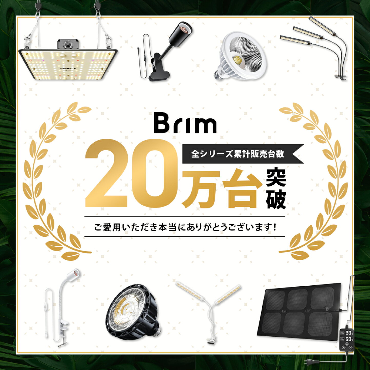 楽天市場 | BRIM植物育成ライト - 植物育成LEDライトを展開するBRIMの 