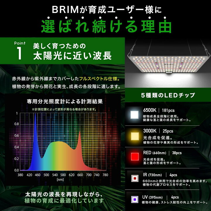 楽天市場】BRIM(ブリム) 公式店 楽天ランキング1位獲得【2枚セット 