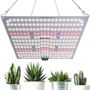 BRIM(u) X yVLO1ʊly1zBRIM(u) PANEL A A琬Cg LED pl hHyuhztXyNg IR/UV  PL-A(1)