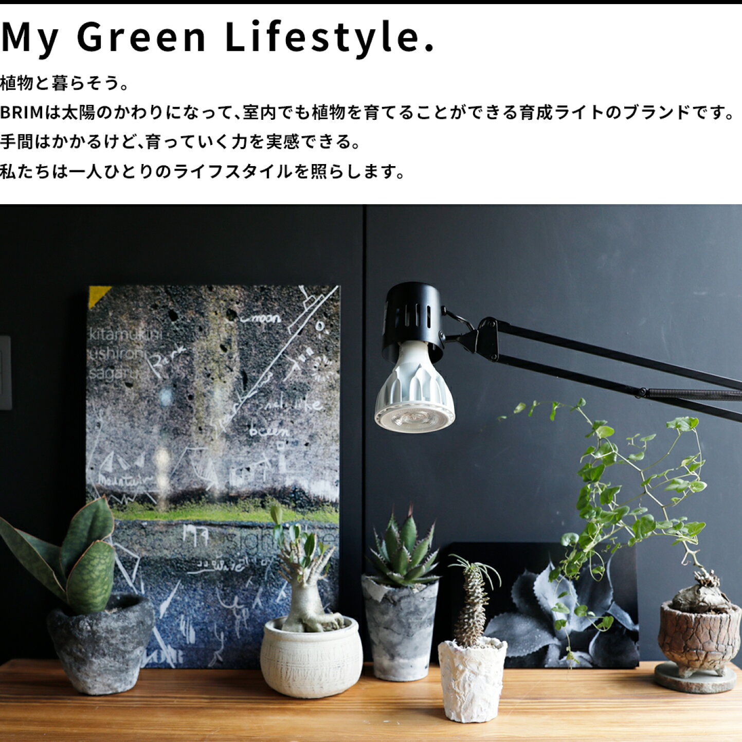 楽天市場 | BRIM植物育成ライト - 植物育成LEDライトを展開するBRIMの 