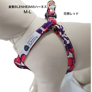 n[lX   ԕ ^ ^ ɗDRbg100 q~z { M L v H܂Ȃ z bh Ȃ ȒP  Jt |bv 킢 Ȃ