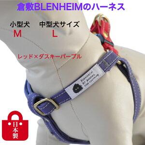 n[lX   ^ ^ M L v    D H܂Ȃ ɗD Rbg100 q~z bh×_XL[p[v  킢 v[g Č gCv[h 