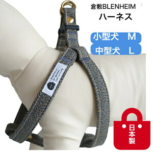 n[lX  ^ ^   SȂ u[[  ɗDRbg100 q~z R[M[ LoA {Xe 킢  v Ȃ ɗD 