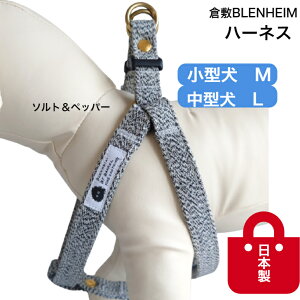 n[lX   ^ ^  S \gybp[ M L ɗDRbg100 q~z 킢  v  Ȃ ȒP EȒP SȂ ̎UO