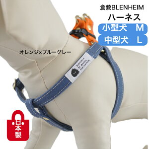 n[lX   ^ ^ ɗDRbg100 q~z M L IW×u[O[ gCv[h R[M[ Č _bNX v ɂ H܂Ȃ 킢  