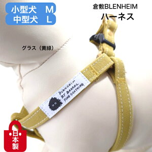 n[lX   ^ ^ OX  v M L ɗD Rbg100 q~z Ȃ ȒP ɂ Vv 􂦂  Č R[M[ ViEU[ _bNX 