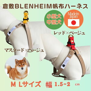 n[lX   ^ ^ v  ̃n[lX pn[lX ɗD ɂ M L bh×x[W }X^[h×x[W  q~z p { S S i