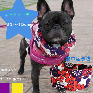 lbNN[[ ^ M N[lbN N[Xk[h N[^C yۗܕtzāyMǑ΍zԕ bh N[oh p Ђ ΍ \t`uhbO R[M