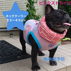 lbNN[[ ^p MTCY N[lbN N[Xk[h N[^C yۗܕtzāyMǑ΍zsN XgCv N[oh p Ђ ΍ \ t`u