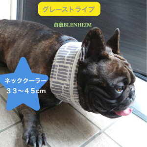lbNN[[ ^ M N[lbN N[Xk[h N[^C yۗܕtzāyMǑ΍zO[ XgCv N[oh p Ђ ΍ \ t`uhbO 