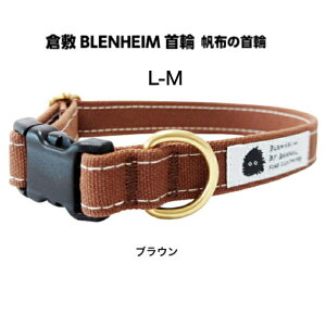   ^ ^ uE M L ɗDRbg100 q~z   SȂ ^b` obN^Cv 킢 Vv LoX v S S { i