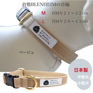   ^ ^ q~ z x[W  M L ɗD 킢 LoX v S { i LoX v[g  z Rbg100% a Mtg