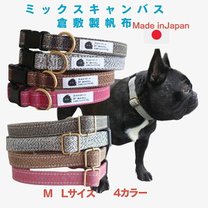   ^ ^ M L ~bNXLoX ɗDRbg100 q~z tu R[M[ Č  _bNX { v z   S Ȃ ɂȂ UO