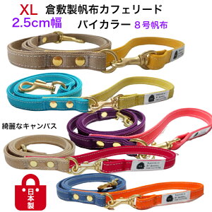 [h  XL ^ ^ L^Cv 2.5cm    v YȃoCJ[  UObY U ̃[h^ q~z { LoX W 肪O