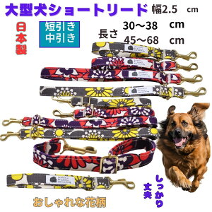  V[g[h ^ V[g [h Z[h Z  ̃[h   ^[h  v Z p [ P  ΍ Z [h p