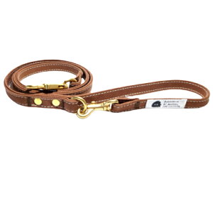 [h  ^ ^ Č gCv[h LoA LoX M L { v  q~ p[h  z 킢 Rbg 100 q~z v[g a Y  