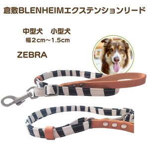 [h M L q~z ZEBRA V}E} kv̎ { ^ ^ v  GNXeV[h  TtHCYhH