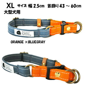  _uO ^ XL ɗDRbg100 q~z IW×u[O[ 肪ĂS L^Cv 2.5cm  { vȃLoX v[g 