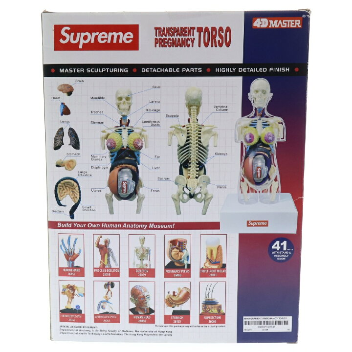 楽天市場】SUPREME(シュプリーム) 18AW ×4D MASTER Female Anatomy 