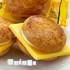 LveXC[co[K[ `[Y`R[go[K[ 3 p݂₰(Vbp[)t