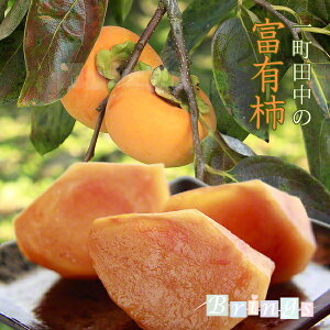 ̊` RY ꒬c̕xL`iÊ`j2.5kg Yn