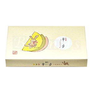 qܘY q OFl 20 p݂₰(Vbp[)t