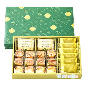 `[bv[Y ~ TULIP ROSE A\[gMtg28 p݂₰(Vbp[)t