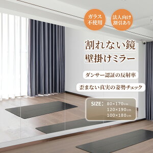 �y�N�����ӍՁ�12%OFF�zBrisafe ����Ȃ��� �Ǌ|���~���[ �_���X�p�� �A���~���[ 100cm*180cm �m���t���[�� ���� �X�^�W�I �W�� �o���G�X�^�W�I �_���X�z�[�� �{�N�V���O�W�� �w�Z �{�� ���� ���r��