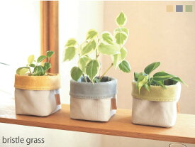 楽天市場 布 帆 植木鉢 プランターカバー 植木鉢 プランター ガーデニング 農業 花 ガーデン Diyの通販