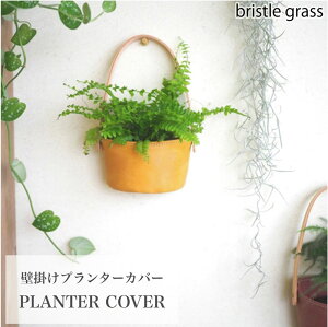 観葉植物 エアープランツ 鉢の人気商品 通販 価格比較 価格 Com